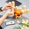 VoxArt Orange Edition | Wild Heads 292 | Pixio®