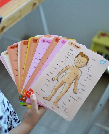 Układanka magnetyczna Ciało człowieka, Janod