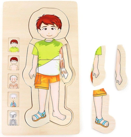 Układanka dla dzieci, Lekcja anatomii z Tomkiem, 5842-small foot, puzzle drewniane