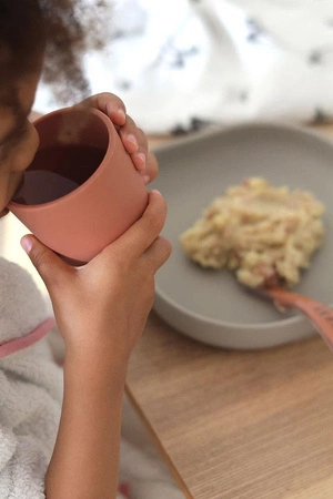 Beaba Komplet naczyń z silikonu z przyssawką Terracotta