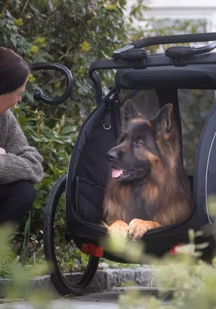 Hamax - Przyczepka rowerowa dla psa - Pluto L do 45 kg - Blue / Black