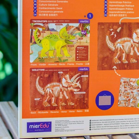 mierEdu Zabawa magnetyczna - Triceratops ME0545