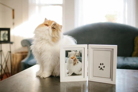 Pearhead Ramka z Atramentowym Odciskiem Łapy Pupil Stojąca White