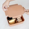3 Sprouts Lunchbox Bento Rust