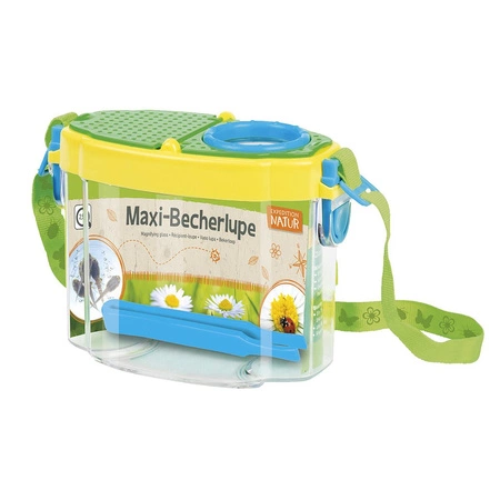 Duży Pojemnik Do Obserwacji Owadów