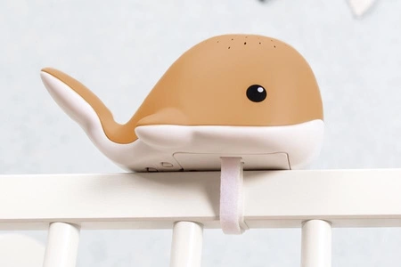 Zazu WALLY Projektor Wieloryb Camel