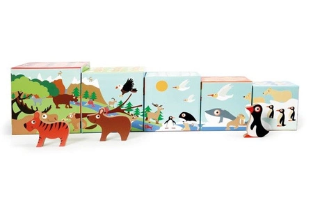 Scratch, Piramida edukacyjna DZIKIE ZWIERZĘTA (5 elementów)