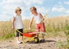 Taczka dla dzieci czerwona metalowa Rolly Toys