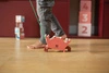 BS Toys, Drewniany krab do ciągnięcia