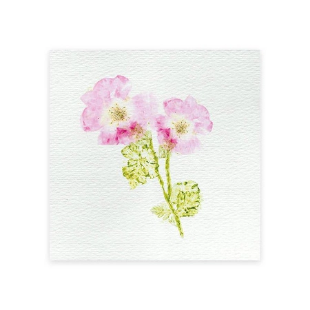 Multizestaw kreatywny 6 dekoracji z użyciem prasy do kwiatów 7+, Janod