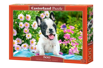 Puzzle 500 Szczenię buldoga francuskiego B-53650