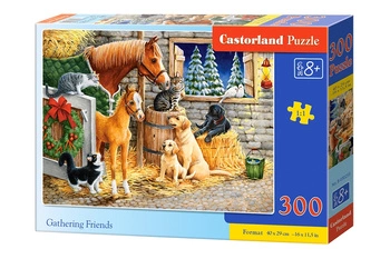 Puzzle 300 Zebranie przyjaciół B-030255