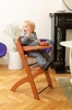 Childhome Krzesełko do karmienia Evosit Rust