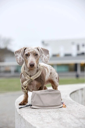PALOPA Miska turystyczna dla psa składana Tura taupe
