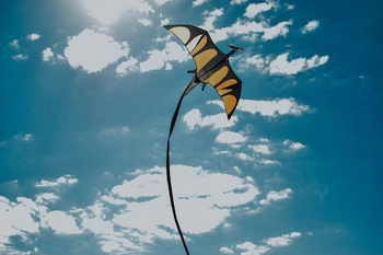 Latawiec pterozaur-pterodaktyl