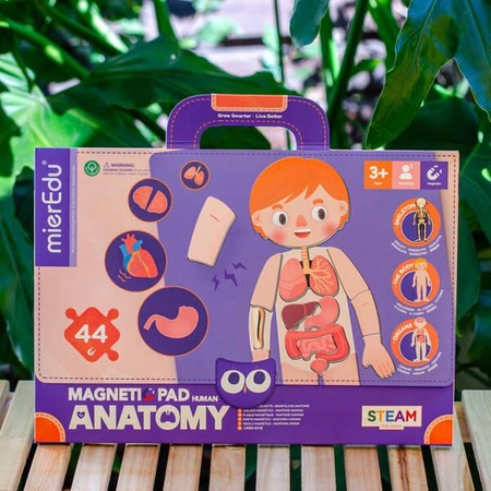 mierEdu Zabawa magnetyczna - Ciało człowieka ME0511