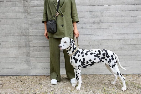 PALOPA Torebka saszetka na smakołyki dla psa Greta black L