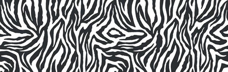 SCOOTANDRIDE Highwaykick 2 Lifestyle Hulajnoga trójkołowa balansowa z zamykanym schowkiem 2+ Zebra