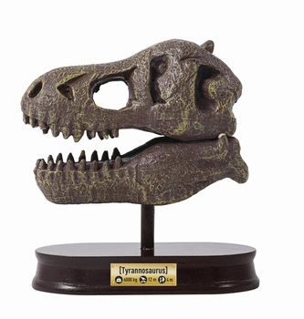 Muzeum czaszek dinozaura - TYRANOZAUR 2130