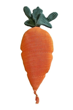 Poduszka Cathy the Carrot Lorena Canals