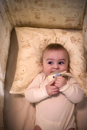 Filibabba Zestaw 3 zabawek sensorycznych Dreamy Adventurers