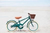 Banwood Rowerek Classic Dark Green