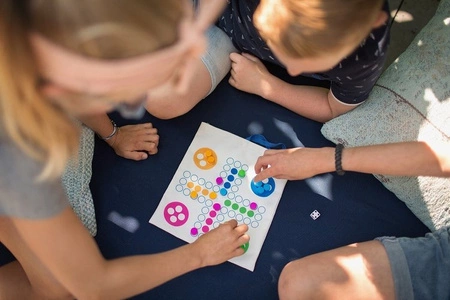 BS Toys, Podróżna gra 2w1 - chińczyk, drabinka