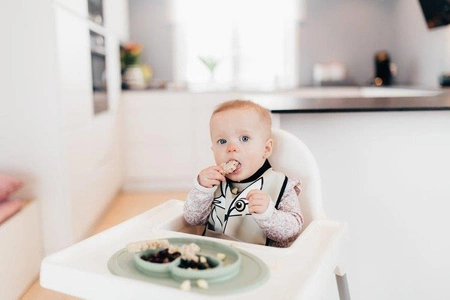 Baby Livia Śliniak Grey Lisek 102-9