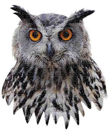 MADD CAPP, Puzzle konturowe I AM - Sowa 550 elem.