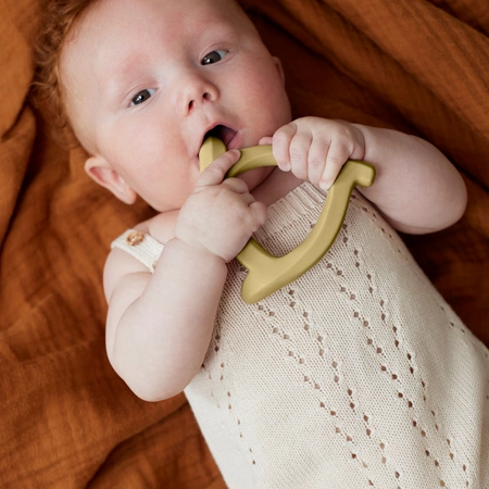 Gryzak silikonowy, waniliowy, Everyday Baby