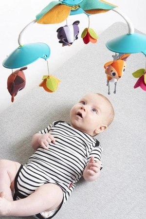 Karuzela klasyczna - Leśna Kraina