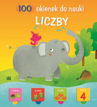 Liczby. 100 okienek do nauki