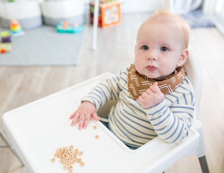 Lulujo Boho Śliniak Bandana 2 szt. Black Birds