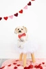 Pearhead Muszka Dla Psa Woof You