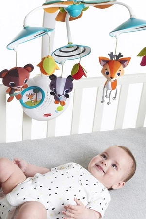 Karuzela klasyczna - Leśna Kraina