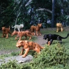 Safari Ltd. Zestaw Figurek Wielkie Koty