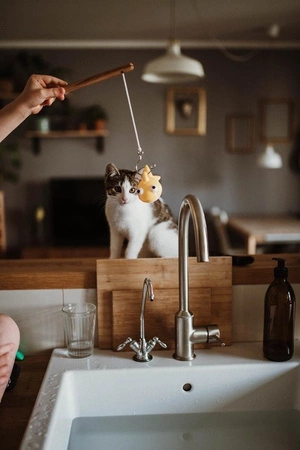 Zestaw do wędkowania w kąpieli 2+, Janod