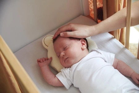 Candide Poduszka z Pamięcią Kształtu P’tit Panda Organic