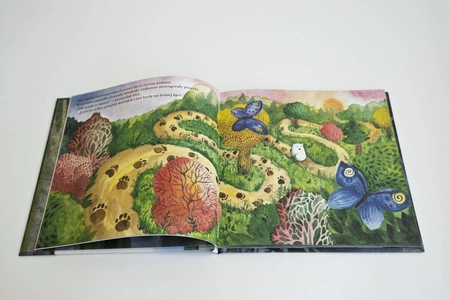 Miś i Ciemność Książka dla Dzieci Rabbit&Friends