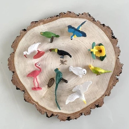 Safari Ltd. Zestaw Figurek - Egzotyczne Ptaki