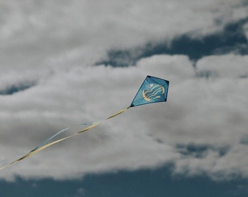 Latawiec z morskim motywem