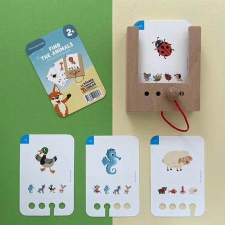 WiemTo Pudełko i 6 Zestawów Kart. Zestaw dla dzieci 2+