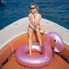 The Swim Essentials Koło do pływania Rose Gold Flamingo 95 cm 2020SE483