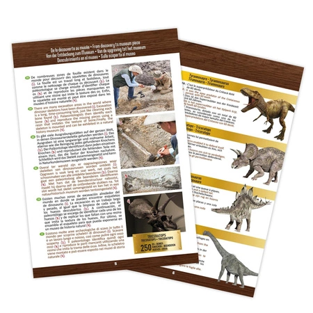 Muzeum czaszek dinozaura - TYRANOZAUR 2130