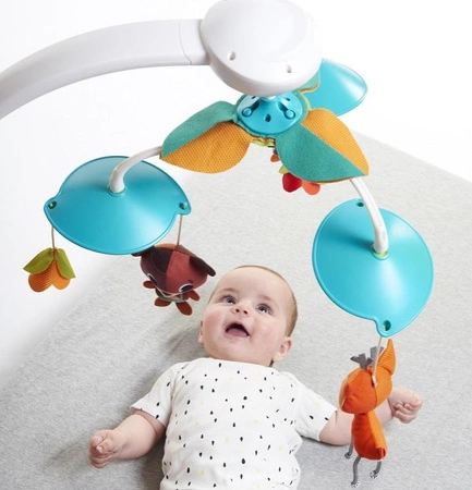 Karuzela klasyczna - Leśna Kraina