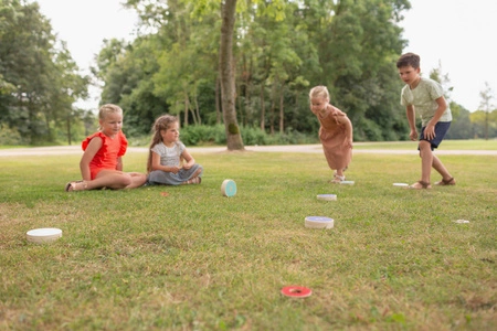 BS Toys, Drewniana gra zręcznościowa Turlaj krążki