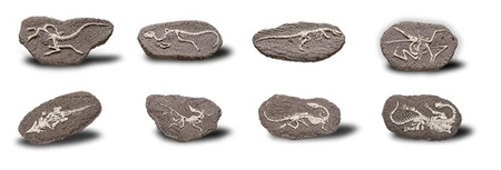 Bones&More, Duży szkielet dinozaura - wykopalisko na kamieniu