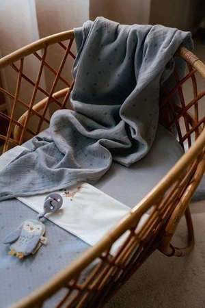 Little Dutch Otulacz muślinowy 120x120 cm Blueberry Leaves