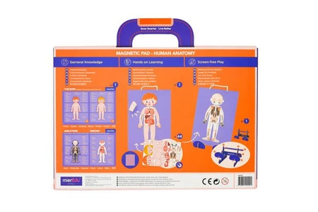 mierEdu Zabawa magnetyczna - Ciało człowieka ME0511