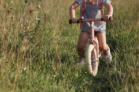 Little Dutch Rower biegowy Róż Mat LD8000